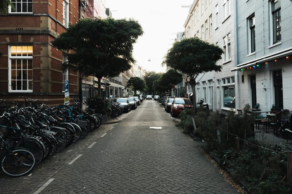 A calm residential bike route with low traffic and simple wayfinding